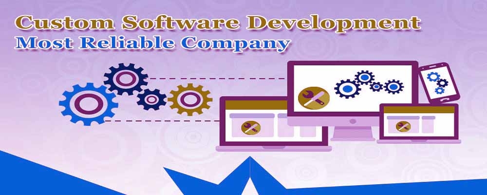 Service Provider of Custom Software Development